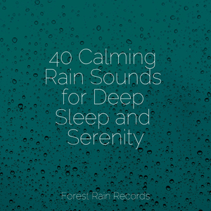 Ocean Waves and Seagulls