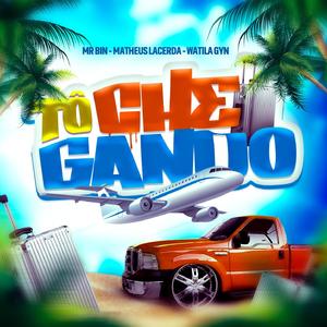 TO CHEGANDO NE PIRANHA