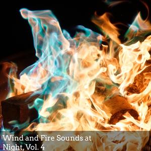 View Of Flying Birds