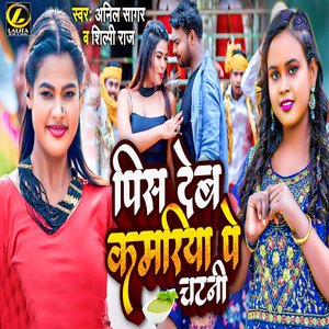 Pis Deb Kamariya Pe Chatani