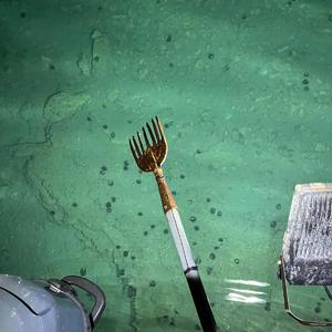 Svića (feat. Fist Grievance)