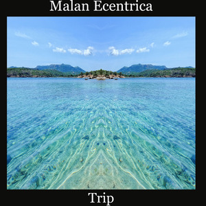 Trip