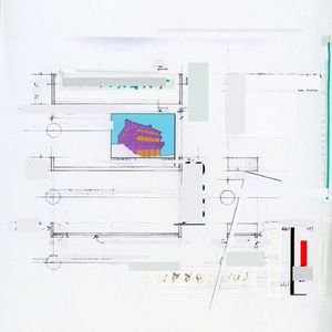 Cormorant (For Elli)