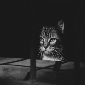 Не рай