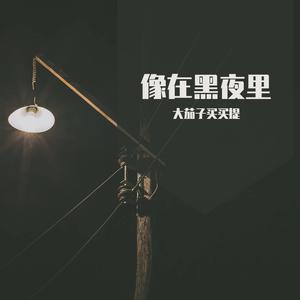 像在黑夜里