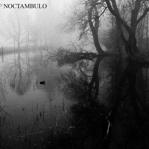 Noctambulo