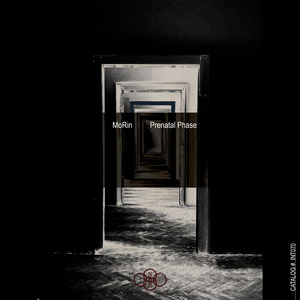 Prenatal Phase (Original mix)