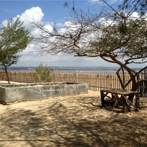 情人太难朋友不甘 (高潮版)