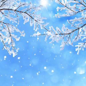 别开生面的玫瑰蛋糕卷