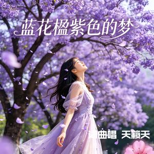 蓝花楹紫色的梦