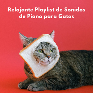Armonía Apacible Para Gatos
