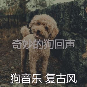 微妙的训练你的狗心情