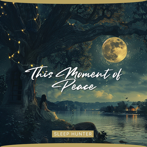 Falling Asleep Slowly