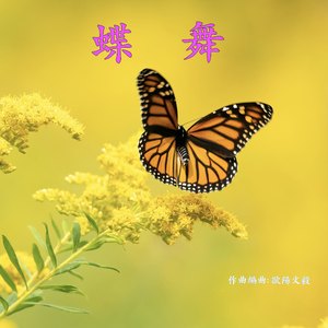 蝶舞
