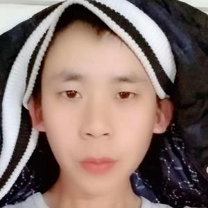 雪花女神龙（翻自 群星）