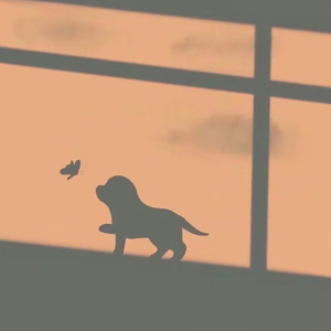 风铃未响的夏天