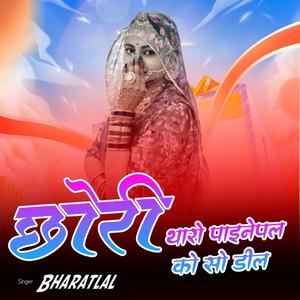 छोरी थारो पाइनेपल को सो डील