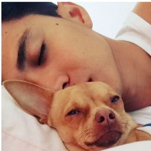 Casillero del diablo