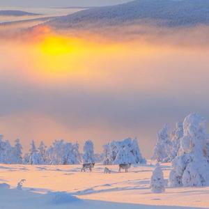 目が覚めない夢（治愈《梦不醒的梦》日语念白-你是我触碰不到的风醒不来的梦回小仙dj）