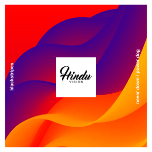 Never Down (Original Mix)