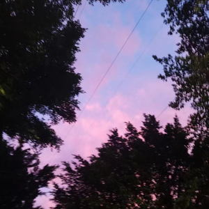 怎么证明♡ (Prod by Lemon MAX)
