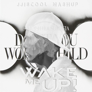 Don't You Worry Child × Wake Me Up ( Mashup)