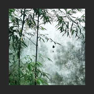 "玲珑"揽佬&中国风&孟菲斯 Type Beat