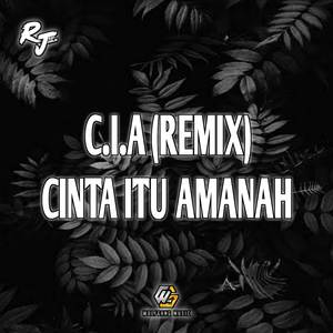 Cinta Itu Amanah (Remix)