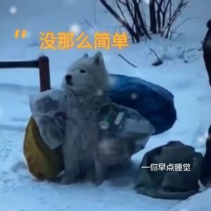 没那么简单（cover黄小琥）