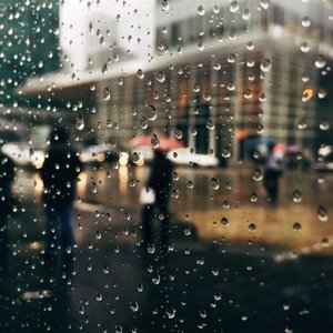 雨《Rain》