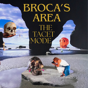 Broca's Area