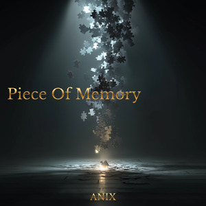 Piece Of Memory
