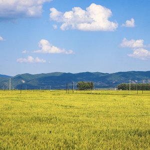 美丽的草原我的家