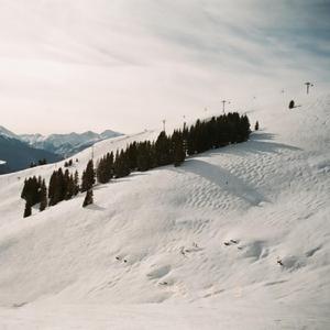 Dispersed (Ayn Randoms (Singles Album))