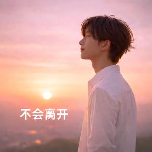 不会离开 (男声版)