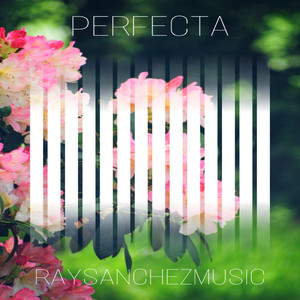 Perfecta