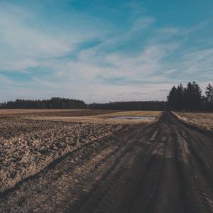 Zarzyjze Kuniu (feat. Karol Szymanowski & Marek Szlezer)