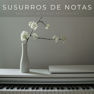 Abrazos Esponjosos