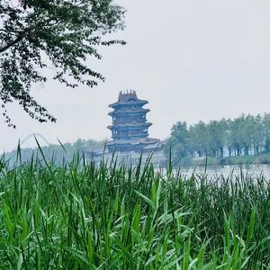 心碎离歌