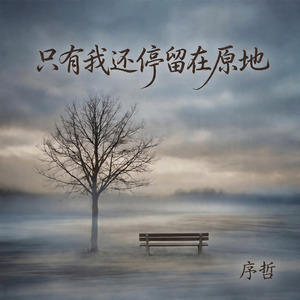 只有我还停留在原地