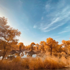 折磨（prod Jeston）