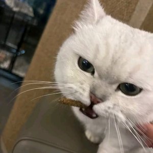 五一见一面吧