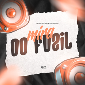 Mira do Fuzil