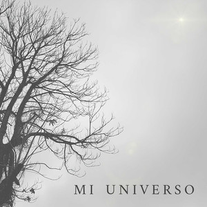 Mi Universo