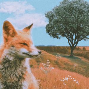 Abbreviations (AI is stupid and if you use it so are you)