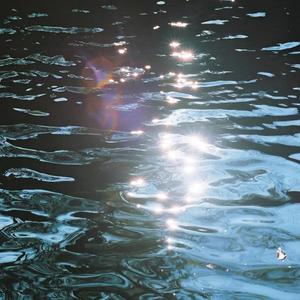 夜、萤火虫和你（钢琴纯享）