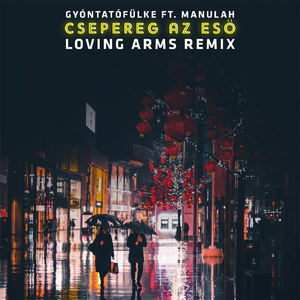 Csepereg Az Eső (Joe Slash Remix)