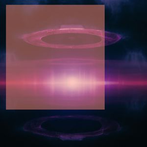 Driftwood Dreams in Mist