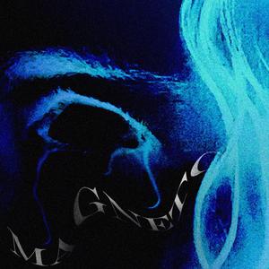 MAGNETO (feat. medullaaa)