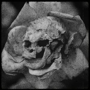 4c6965204f6e20426564.